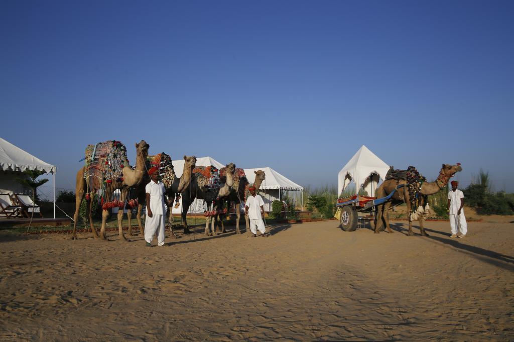 Pushkar Adventure Desert Camp Kültér fotó