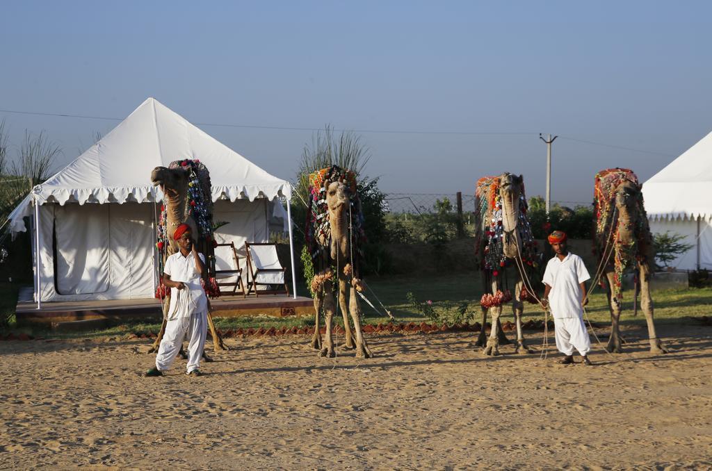 Pushkar Adventure Desert Camp Kültér fotó